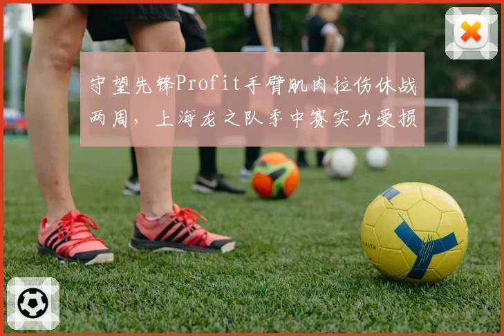 守望先锋Profit手臂肌肉拉伤休战两周,上海龙之队季中赛实力受损?