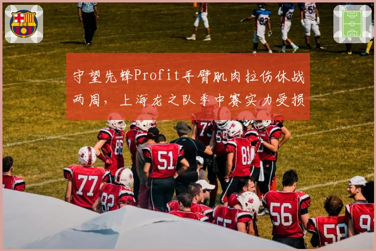守望先锋Profit手臂肌肉拉伤休战两周,上海龙之队季中赛实力受损?