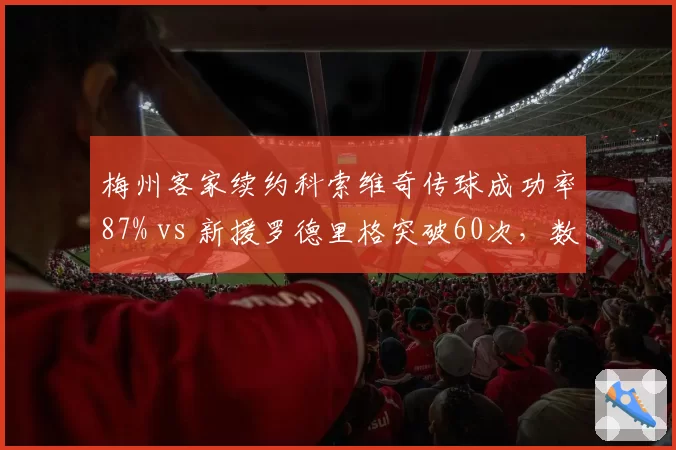 梅州客家续约科索维奇传球成功率87% vs 新援罗德里格突破60次,数据全面对比